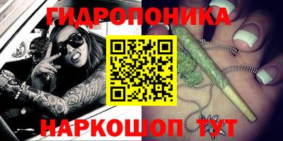 ECSTASY Будённовск